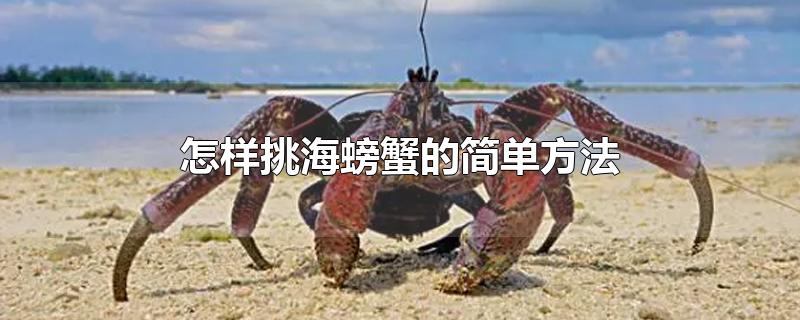 怎样挑海螃蟹的简单方法(怎样挑海螃蟹的简单方法视频教程)