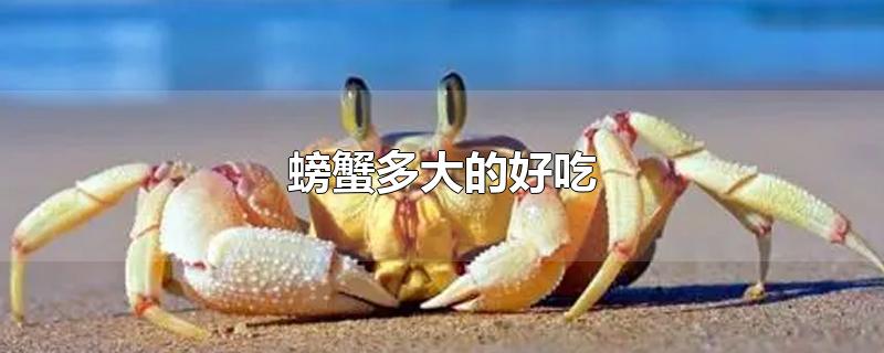 螃蟹多大的好吃,公的好还是母的好,螃蟹多大的好吃