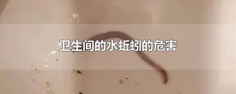 卫生间的水蚯蚓的危害(卫生间经常有蚯蚓会有什么危害吗?)
