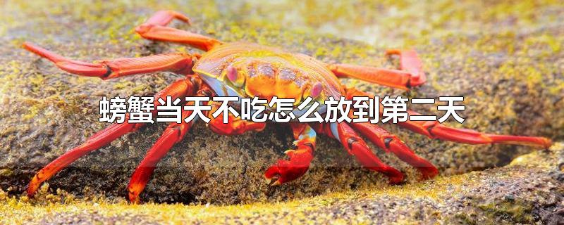 螃蟹怎样存放才能活得更久(怎样吃螃蟹的正确方法)