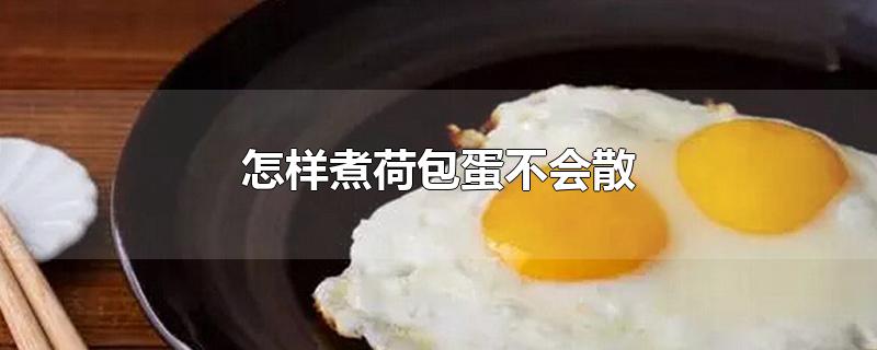 怎样煮荷包蛋不会散不粘锅(怎样煮荷包蛋不会散)