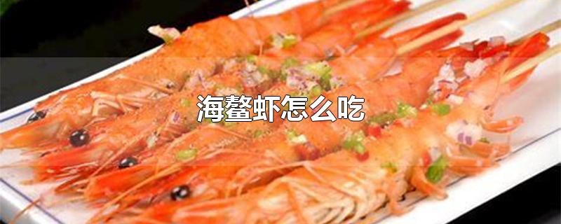 海鳌虾怎么吃?(海鳌虾多少钱一斤)