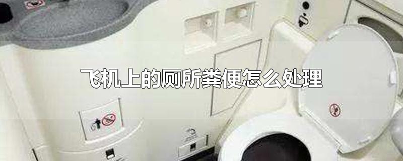 飞机上的厕所粪便怎么处理方法(以前飞机上的厕所粪便怎么处理)