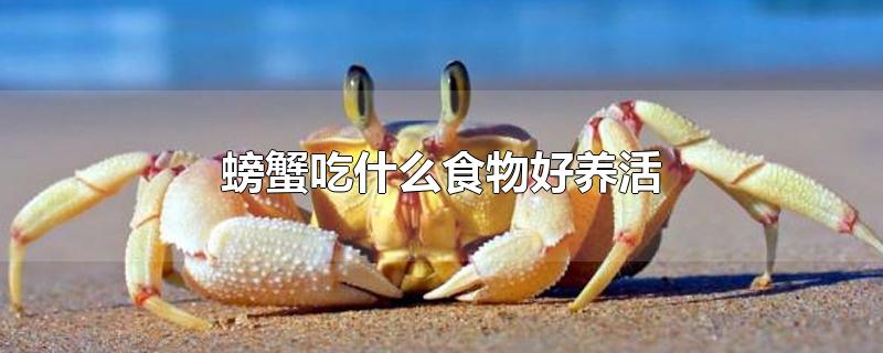螃蟹吃什么食物好养活和长大(螃蟹吃什么东西?)