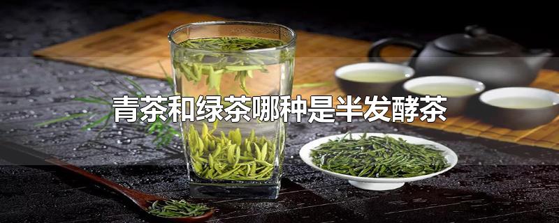 青茶和绿茶哪种是半发酵茶?(青茶是发酵茶还是半发酵茶)
