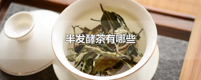 半发酵茶有哪些品种(白茶是发酵茶吗)