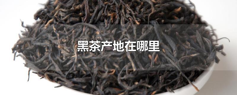 中国最好的黑茶产地在什么地方?(哪个地方出产的黑茶最好)