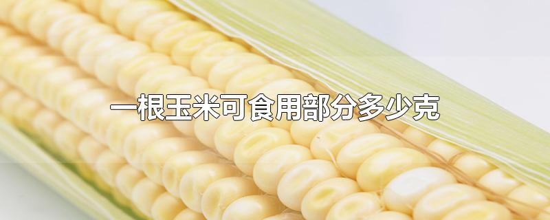一根玉米可食用部分多少克多少热量,一根玉米可食用部分多少克