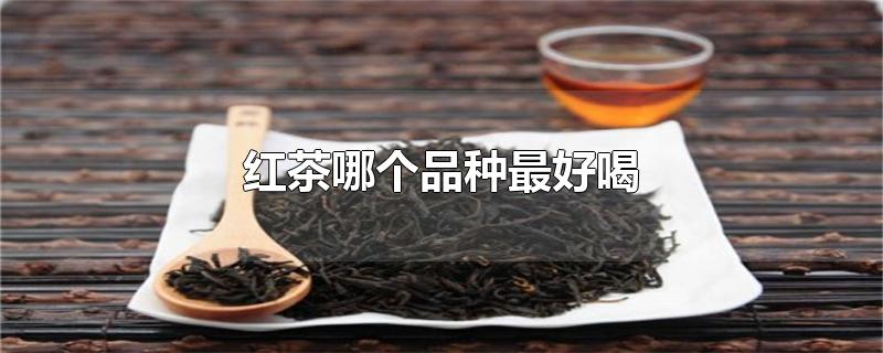 红茶哪个品种最好喝?红茶种类大全(红茶哪个品种最好喝)