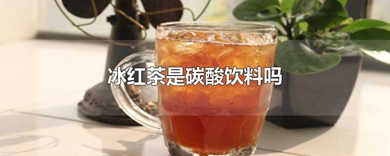 冰红茶是碳酸饮料吗?(冰红茶是碳酸饮料吗(喝了会胖吗)