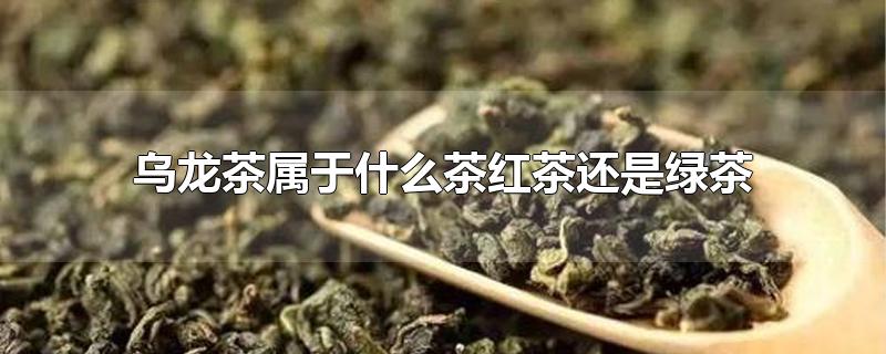 绿茶包括哪些茶叶品种,乌龙茶属于红茶吗?