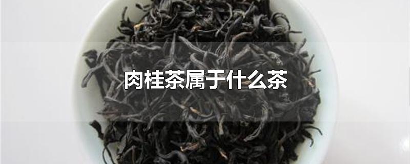 肉桂茶属于什么茶的功效(肉桂茶属于什么茶价格)