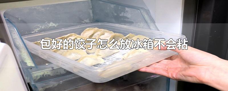 包好的饺子怎么放冰箱不会粘视频(包好的饺子怎么放冰箱不会粘在一起)