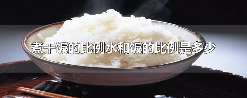 煮干饭的比例水和饭的比例是多少(煮干饭米和水的比例是多少)