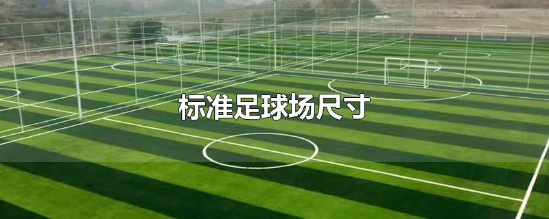 标准足球场尺寸面积(标准足球场尺寸图)