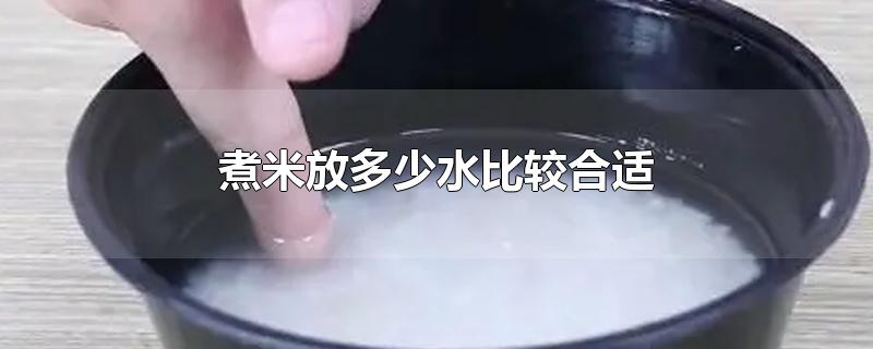 煮米加多少水合适(煮大米放多少米和水)