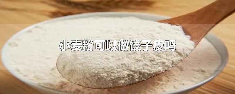 小麦粉可以做饺子皮吗?(自发小麦粉怎么做包子馒头)