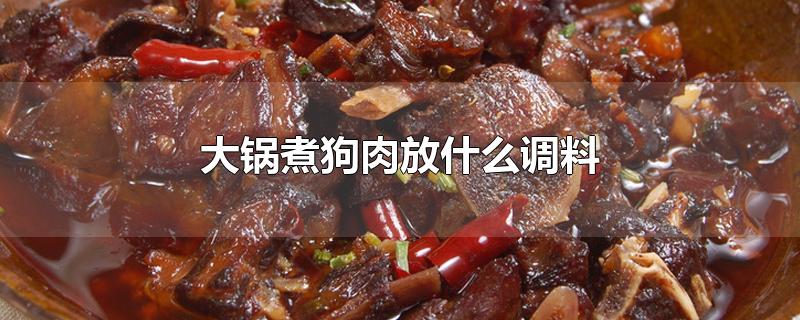 大锅煮狗肉放什么调料好吃(大锅煮狗肉放什么调料)