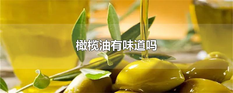 橄榄油有什么用途(橄榄油是食用油吗)