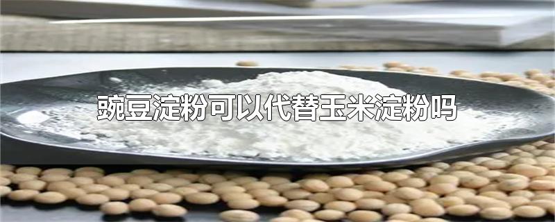 豌豆淀粉可以代替玉米淀粉吗?(豌豆淀粉可以代替玉米淀粉吗炸鲜奶)