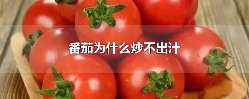 番茄为什么炒不出汁(番茄炒蛋不出汁)