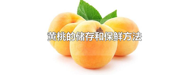 鲜黄桃如何冷冻保存(大量的黄桃怎样保存)