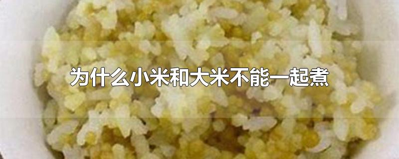 为什么小米和大米不能一起煮能放冰糖吗(为什么小米和大米不能一起煮会拉肚子吗)