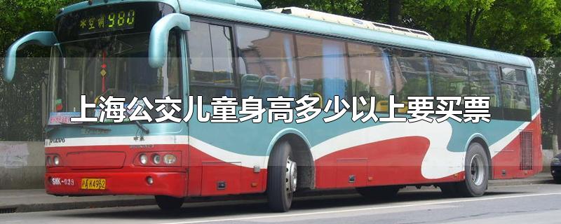 上海公交儿童身高多少以上要买票2021年(上海公交小孩身高多少买票)