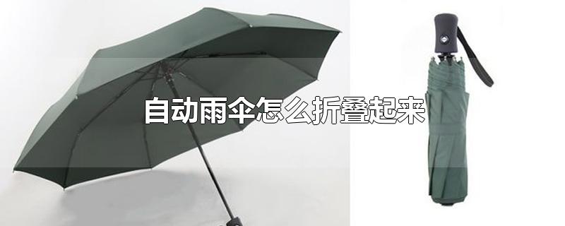 自动雨伞怎么折叠起来的步骤图片(雨伞咋折叠)