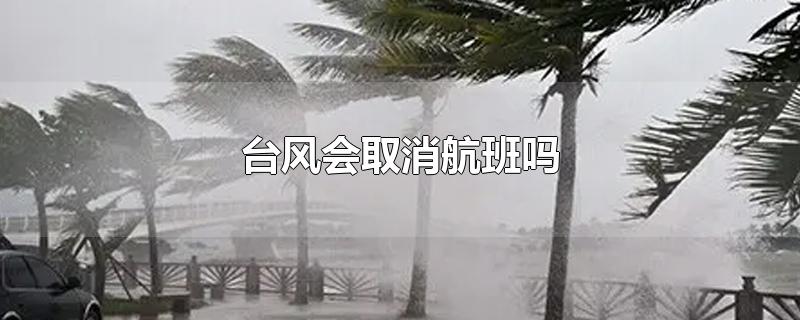 台风会取消航班吗,为什么有台风航班还不取消