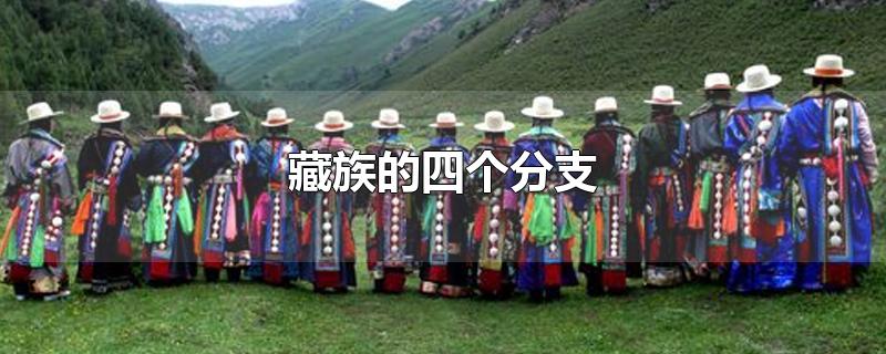 藏族的四个分支(藏族有几个分支)