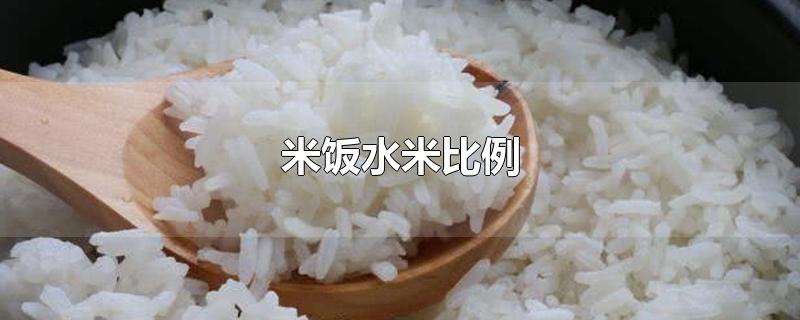 杂粮米饭水米比例(电压力锅米饭水米比例)