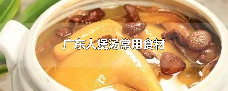 广东人煲汤常用中药材食材(广东人煲汤常用食材海鲜)