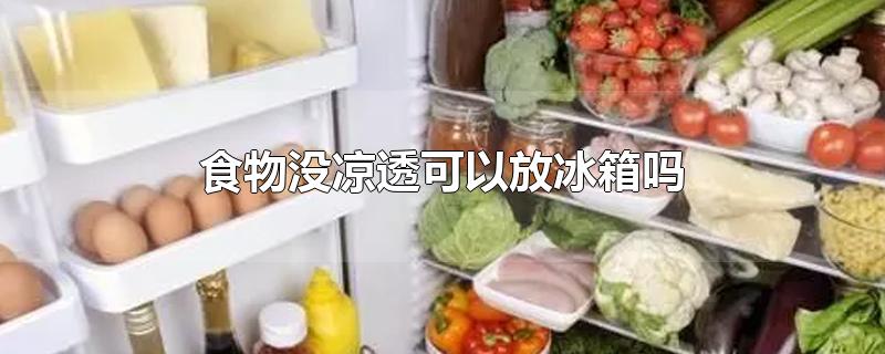 没凉透的食物可以放冰箱吗,菜没凉透放冰箱会怎样