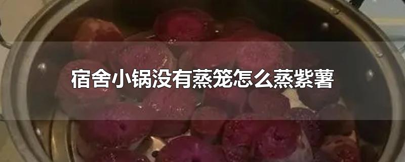 宿舍锅可以蒸紫薯吗(如何用宿舍锅蒸红薯无蒸笼)