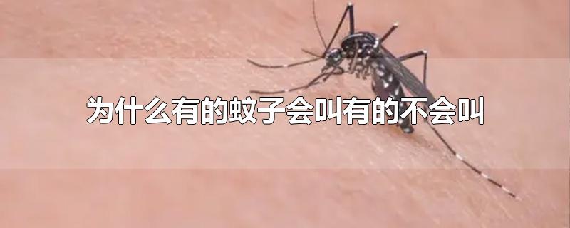 为什么有的蚊子会叫有的不会叫(为什么有些蚊子会叫有些不叫)