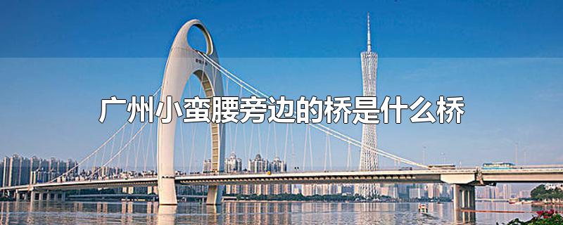 广州大桥旁边是什么桥(小蛮腰旁边的大桥)