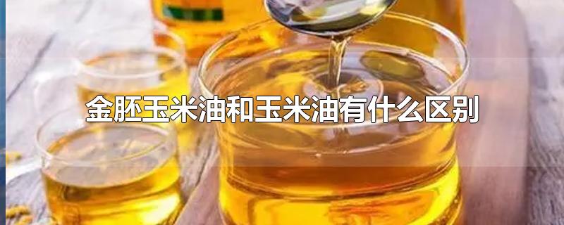长寿花金胚玉米油和玉米油有什么区别(金胚玉米油和玉米油有什么区别?)