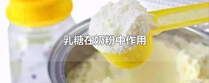 奶粉中的乳糖的作用和功效(奶粉乳糖是什么作用)