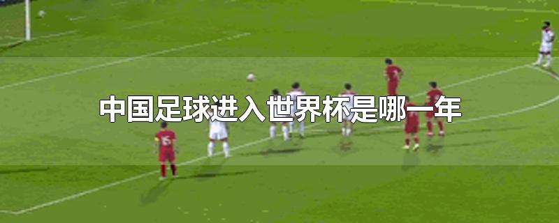 中国足球进入世界杯是哪一年教练(中国足球进入世界杯是哪一年)