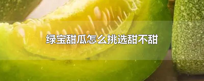 绿宝甜瓜怎么吃(绿宝甜瓜和绿宝石甜瓜的区别)