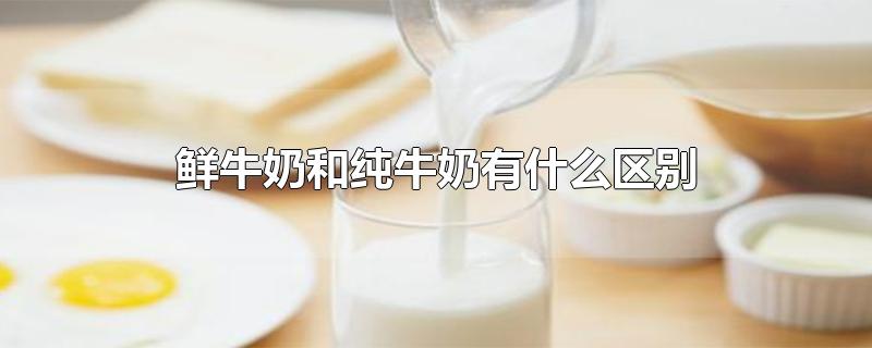 鲜牛奶和纯牛奶有什么区别(鲜牛奶和纯牛奶哪个更有营养价值)