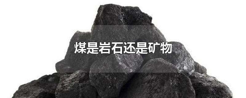 煤是岩石还是矿物(煤是岩石吗)
