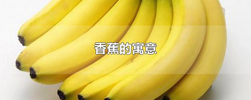 香蕉的寓意合和象征(香蕉的寓意是什么意思)