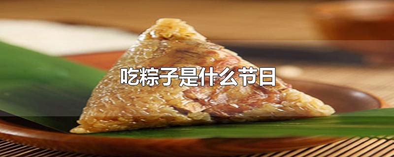 吃粽子是什么节日的风俗(划龙舟吃粽子是什么节日)