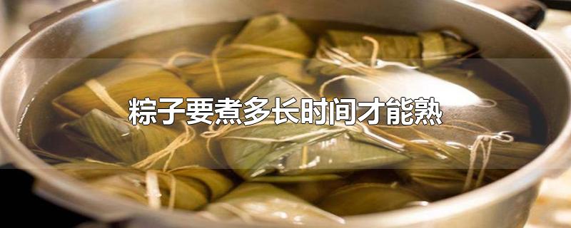 粽子要煮多长时间才能熟高压锅(粽子要煮多长时间才能熟怎么知道火车票是不是电子车票)