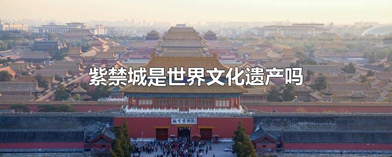 紫禁城是世界文化遗产吗?,紫禁城的文化价值