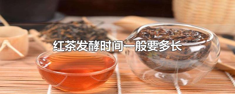 红茶发酵时间一般要多长(红茶需要发酵多长时间)