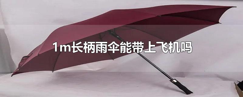 90cm长柄雨伞能否带上飞机(1米的长伞能带上飞机吗)