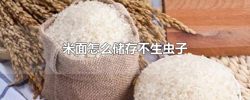 怎样储存米面不生虫子(米和面怎么储存不生虫子)